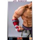 Tekken 5 Statue 1/4 Jin Kazama 48 cm